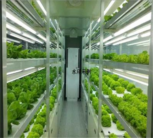 恒溫恒濕室OBE-8